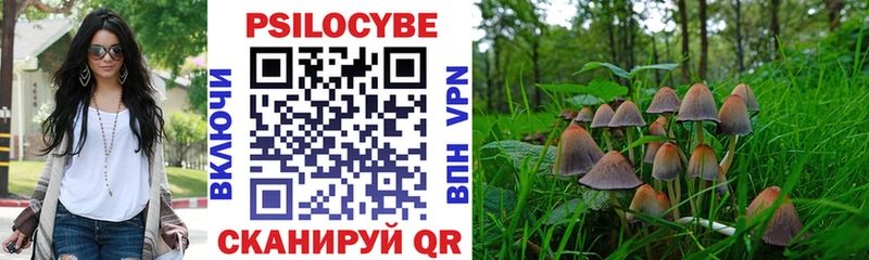 купить   Гатчина  Псилоцибиновые грибы Psilocybine cubensis 